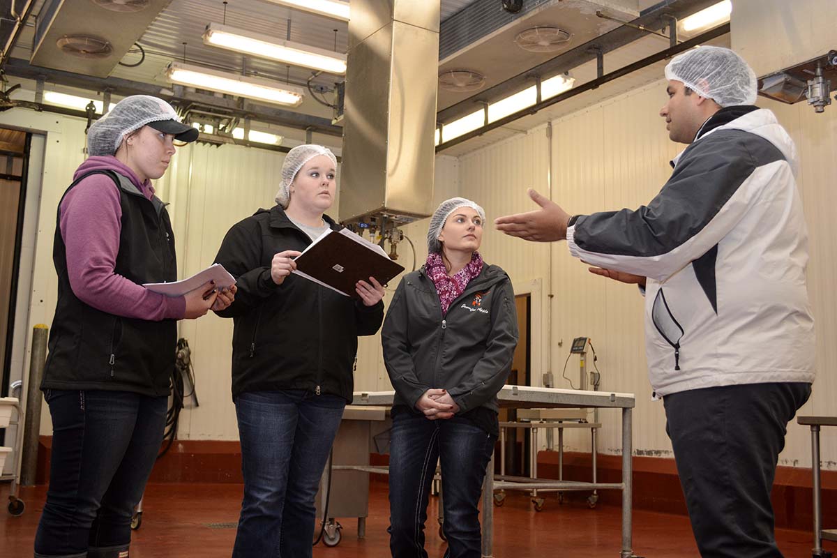 Students learning from professor