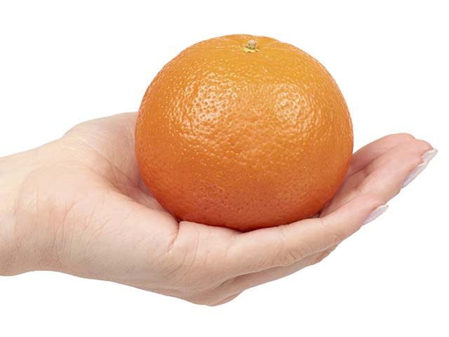 Person holding orange in their hand.