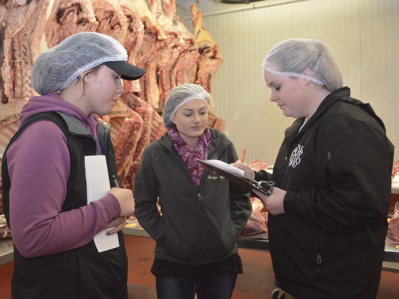 audit of meat processing area