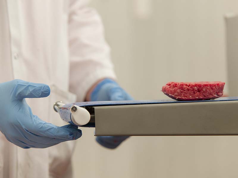 hamburger patty on conveyer belt